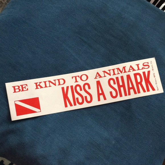 Kiss a Shark 🦈 Bumper Sticker - Picture 1 of 1